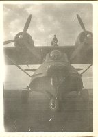 Catalina
