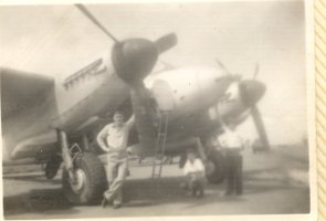 Mosquito